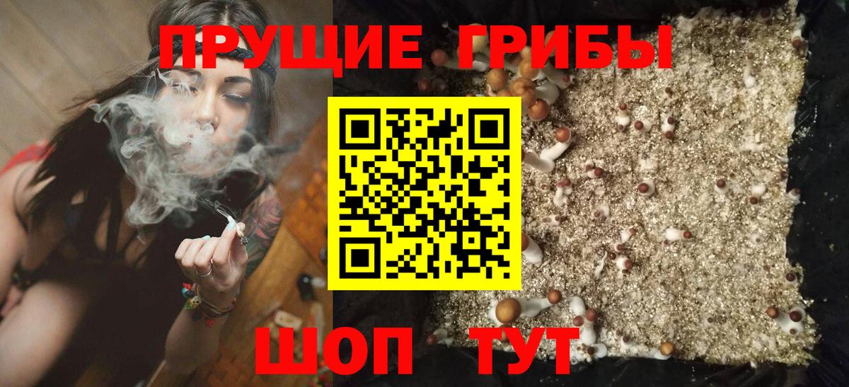 Псилоцибиновые грибы GOLDEN TEACHER Бор
