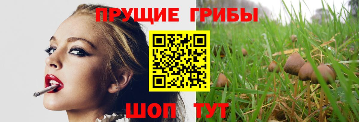 Галлюциногенные грибы ЛСД  Вход с VPN  Бор 